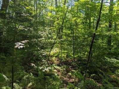 Residential Land For Sale in Grand Junction, Michigan