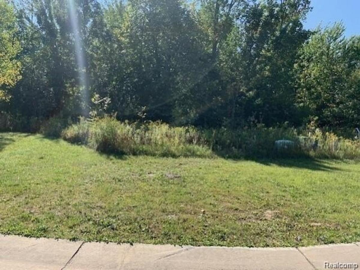 Picture of Residential Land For Sale in Grand Blanc, Michigan, United States