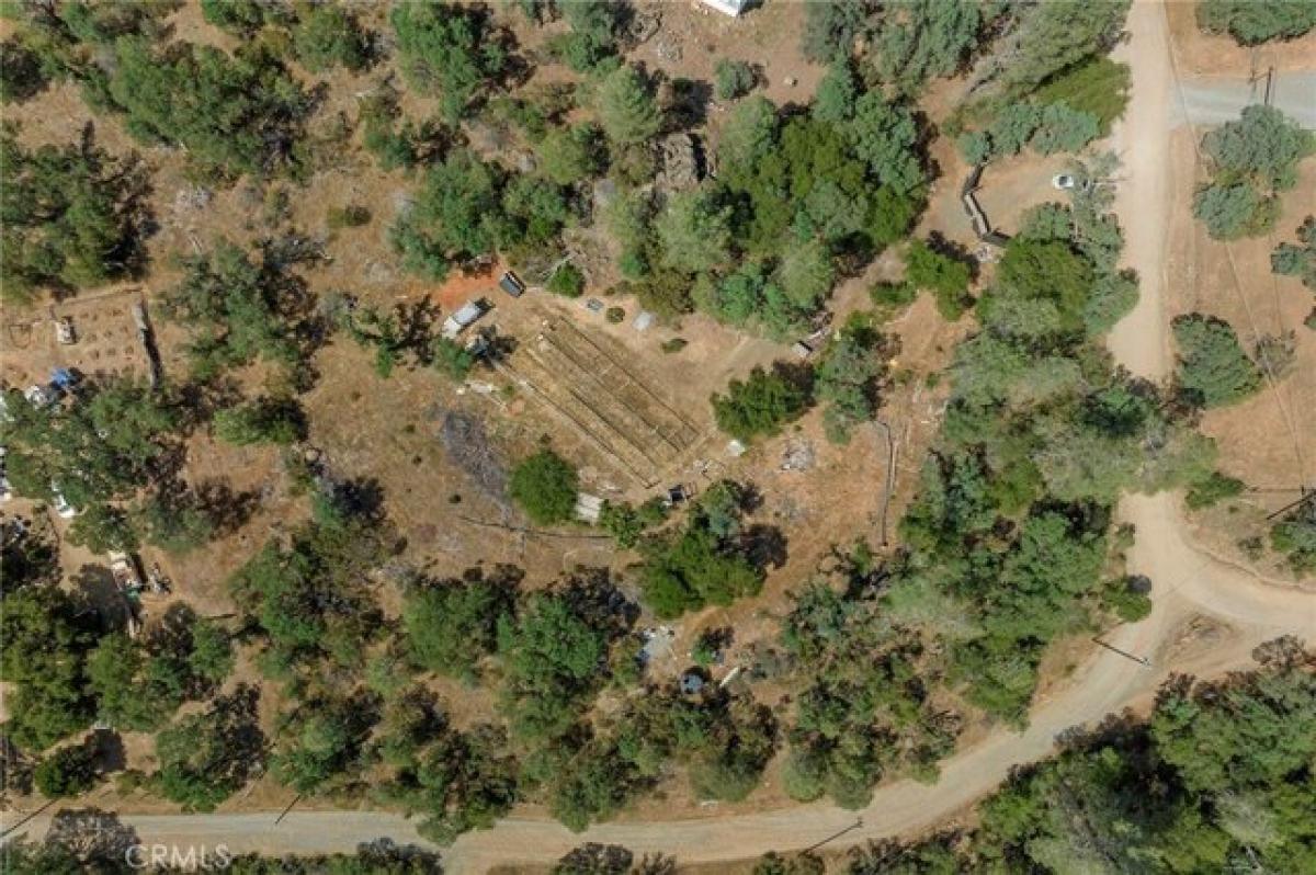 Picture of Residential Land For Sale in Oroville, California, United States