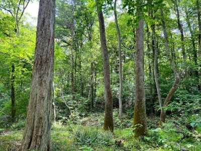 Residential Land For Sale in Woodford, Virginia