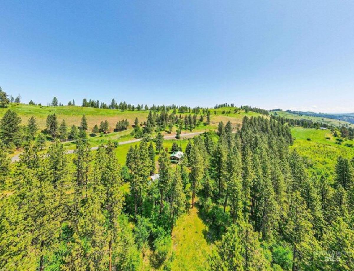 Picture of Home For Sale in Orofino, Idaho, United States