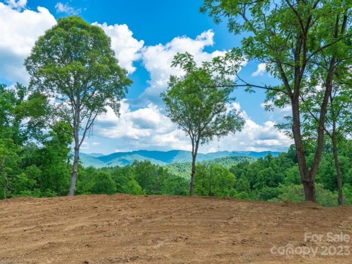 Picture of Residential Land For Sale in Burnsville, North Carolina, United States