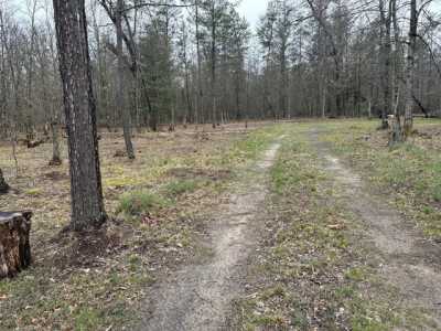 Residential Land For Sale in Baldwin, Michigan