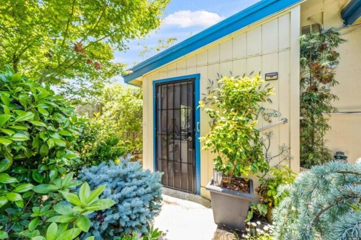 Picture of Home For Sale in Mill Valley, California, United States