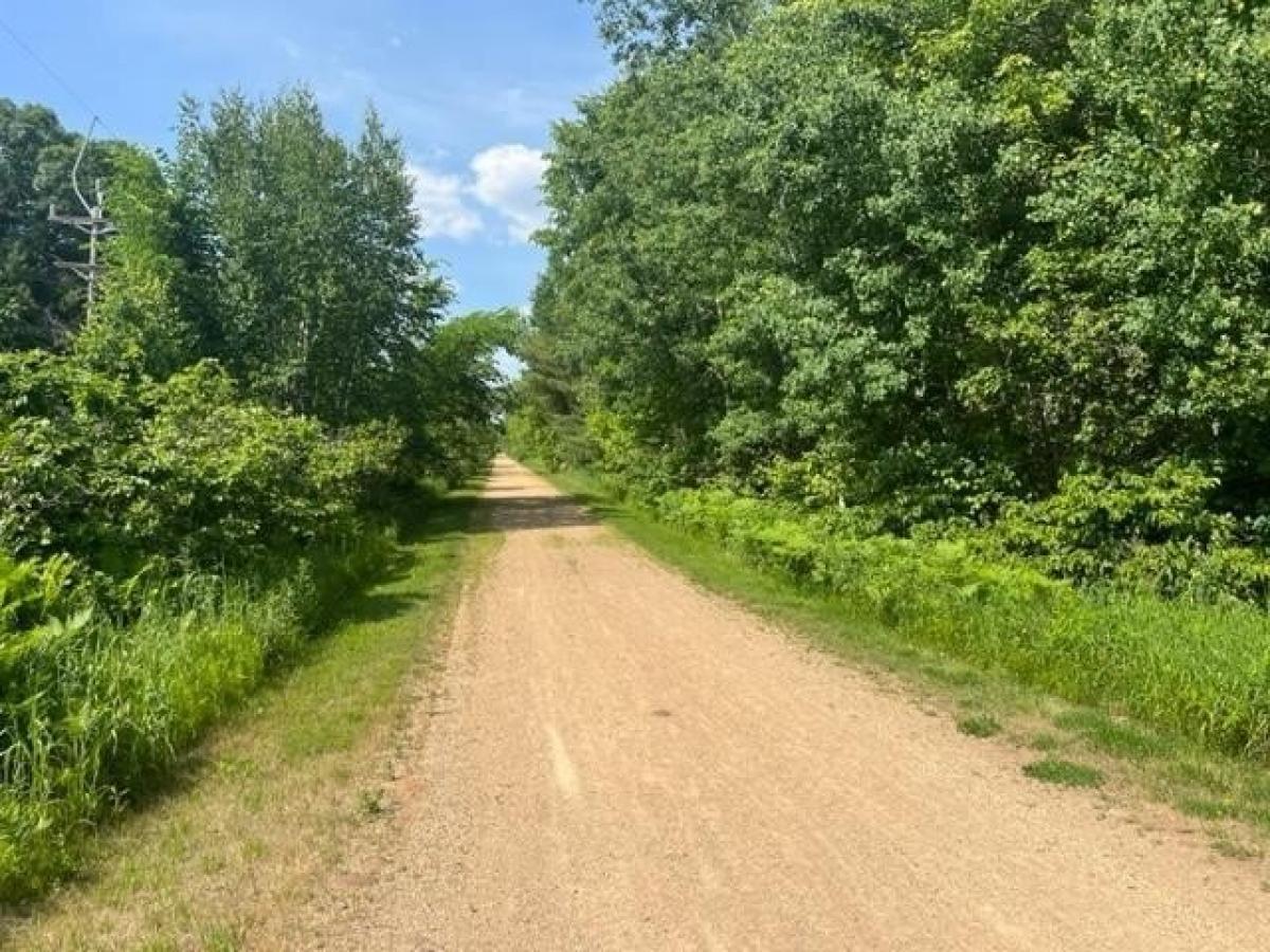 Picture of Residential Land For Sale in Webster, Wisconsin, United States