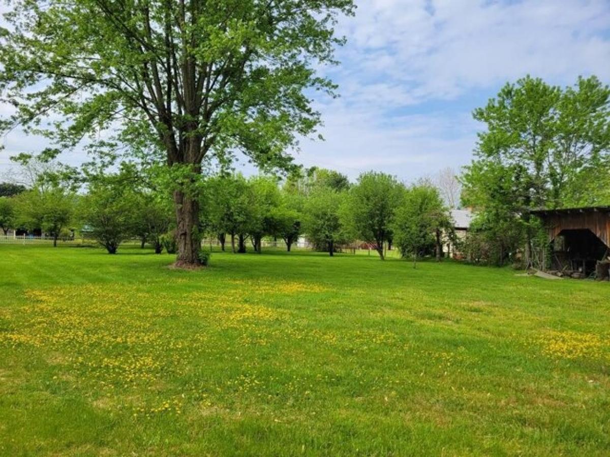Picture of Home For Sale in Sugar Grove, Virginia, United States