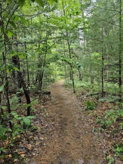 Residential Land For Sale in Fife Lake, Michigan