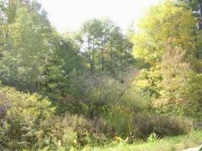 Residential Land For Sale in Saugatuck, Michigan