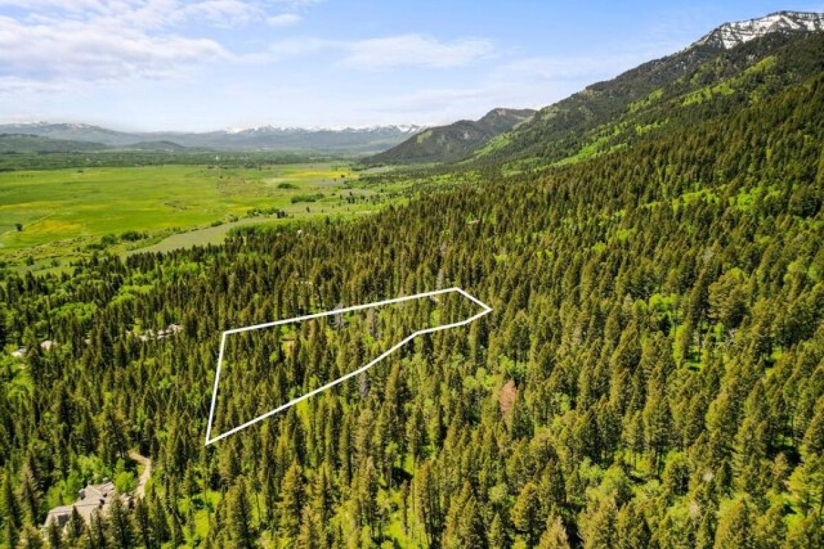 Picture of Residential Land For Sale in Teton Village, Wyoming, United States