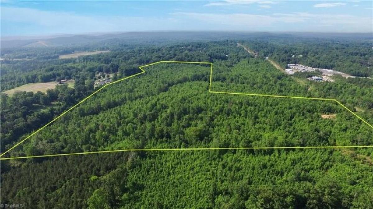 Picture of Residential Land For Sale in Asheboro, North Carolina, United States