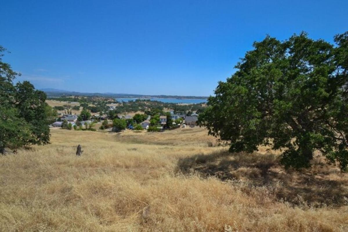 Picture of Residential Land For Sale in Ione, California, United States