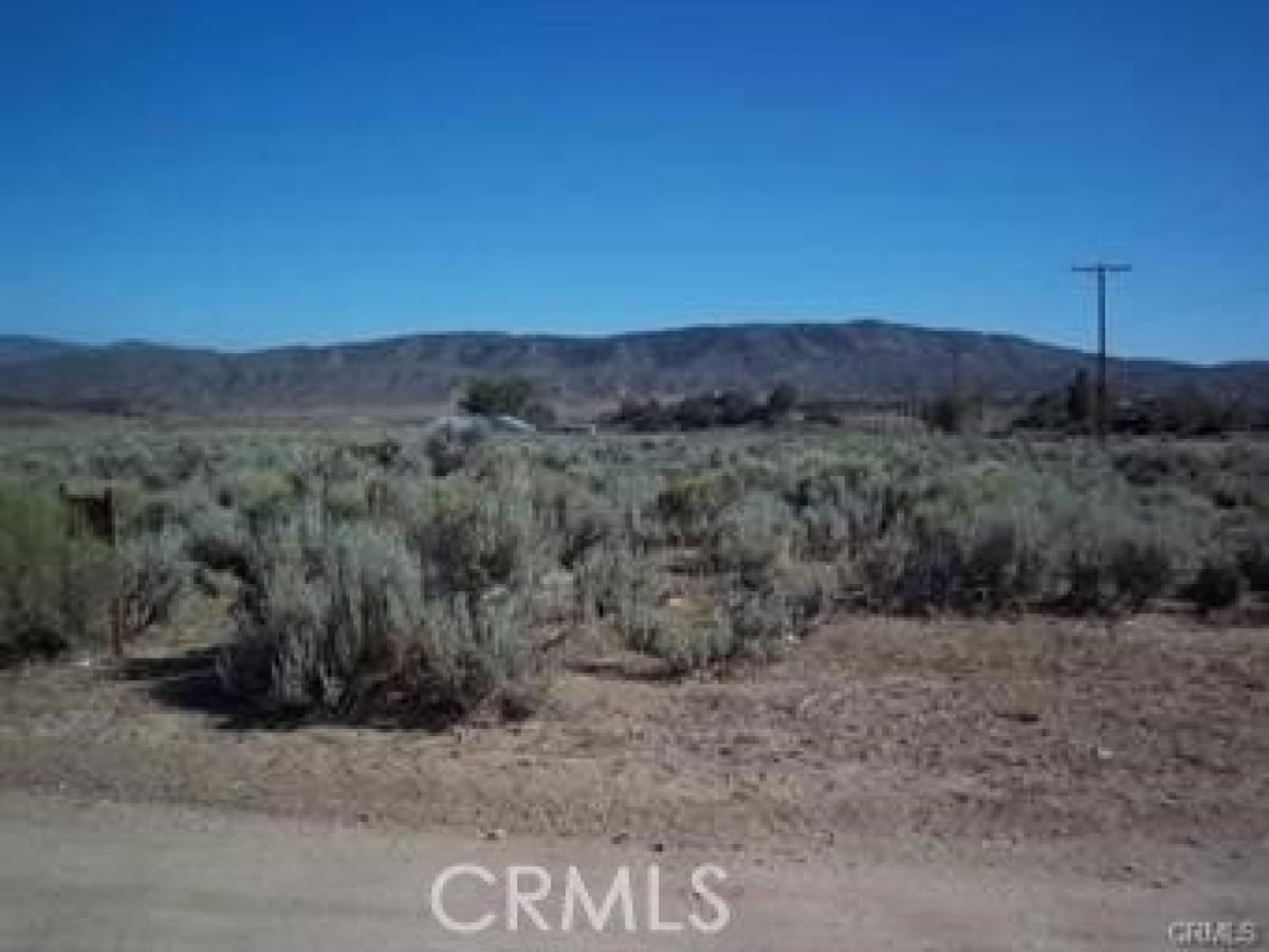 Picture of Residential Land For Sale in Frazier Park, California, United States