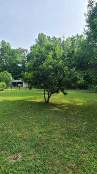Home For Sale in Hohenwald, Tennessee