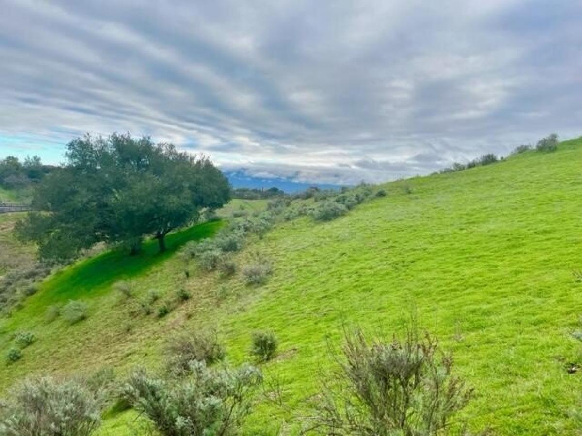 Picture of Residential Land For Sale in Santa Ynez, California, United States
