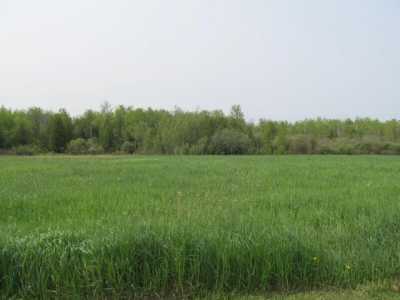 Residential Land For Sale in Mcbain, Michigan