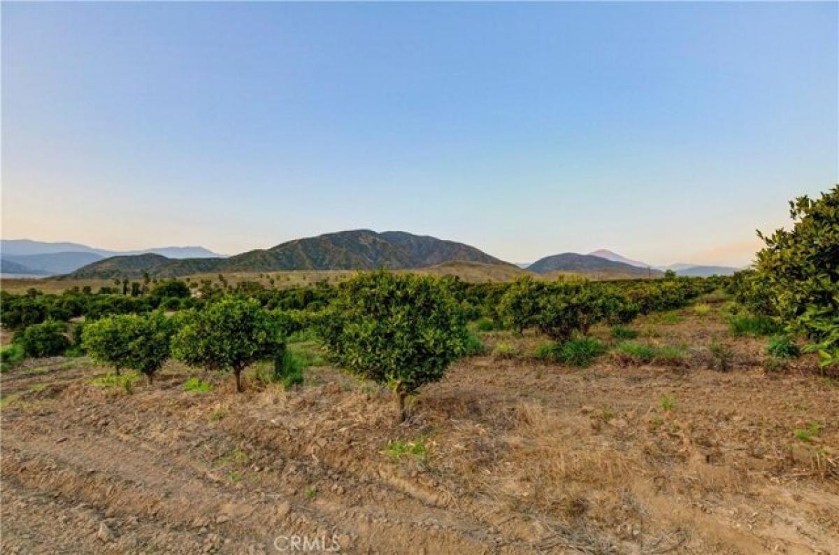 Picture of Residential Land For Sale in Mentone, California, United States