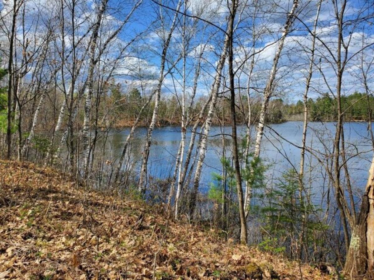 Picture of Residential Land For Sale in Land O Lakes, Wisconsin, United States