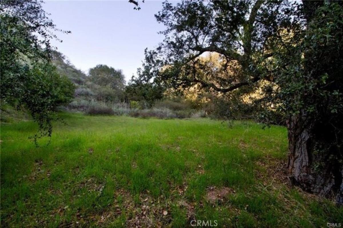 Picture of Residential Land For Sale in Trabuco Canyon, California, United States