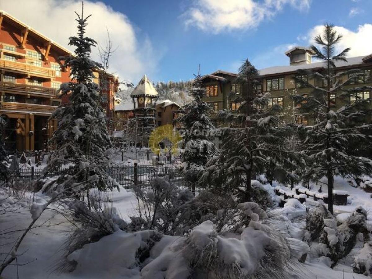 Picture of Home For Rent in Mammoth Lakes, California, United States