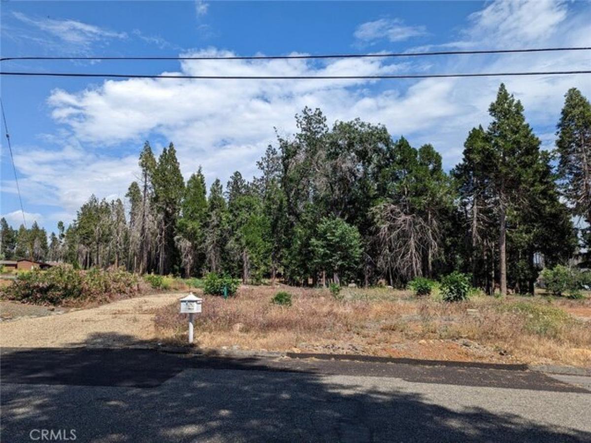 Picture of Residential Land For Sale in Magalia, California, United States