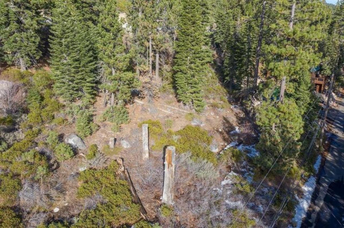 Picture of Residential Land For Sale in Truckee, California, United States