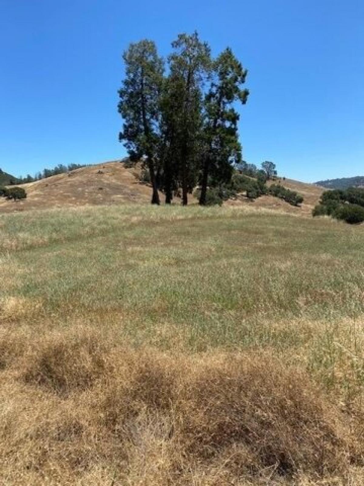 Picture of Residential Land For Sale in Shingle Springs, California, United States
