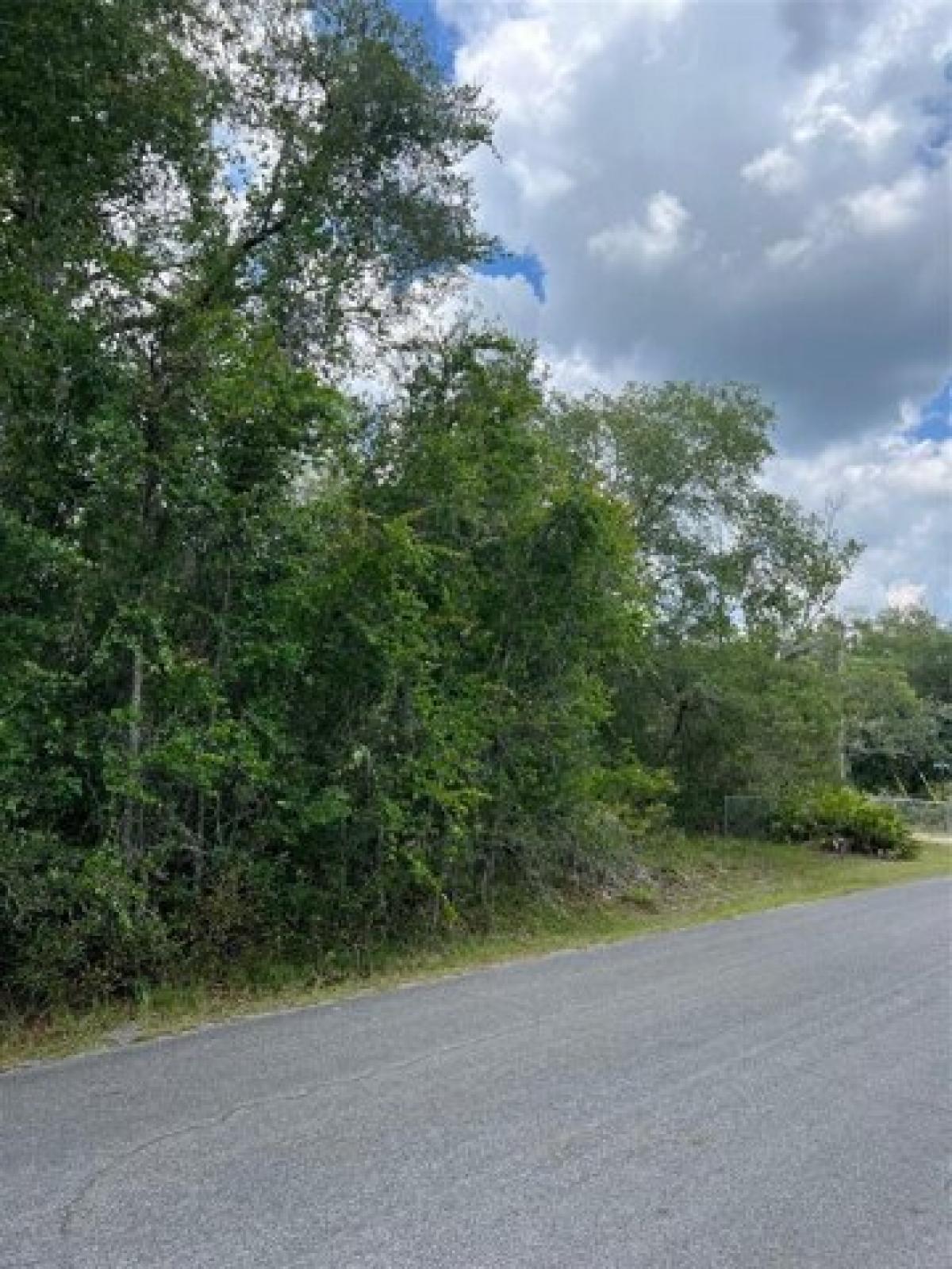 Picture of Residential Land For Sale in Dade City, Florida, United States