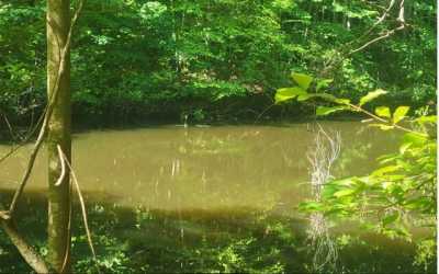 Residential Land For Sale in Murphy, North Carolina