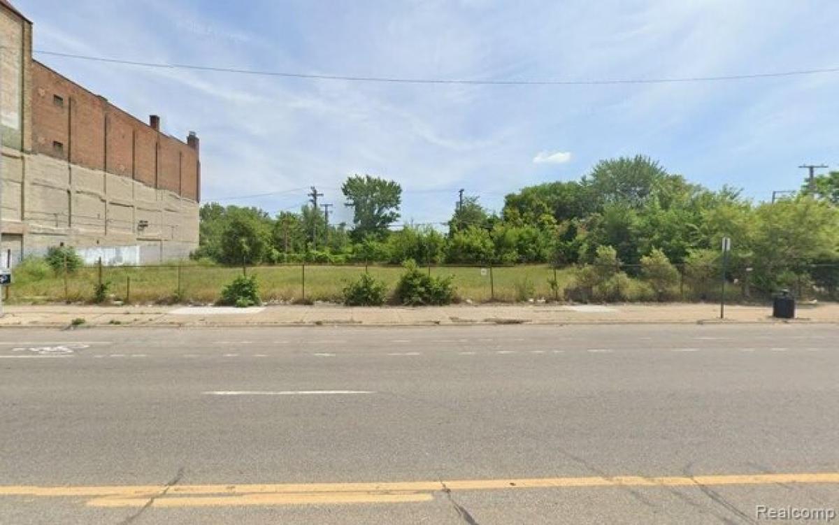 Picture of Residential Land For Sale in Detroit, Michigan, United States
