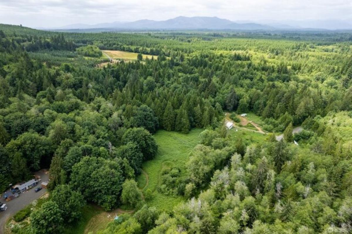 Picture of Residential Land For Sale in Shelton, Washington, United States