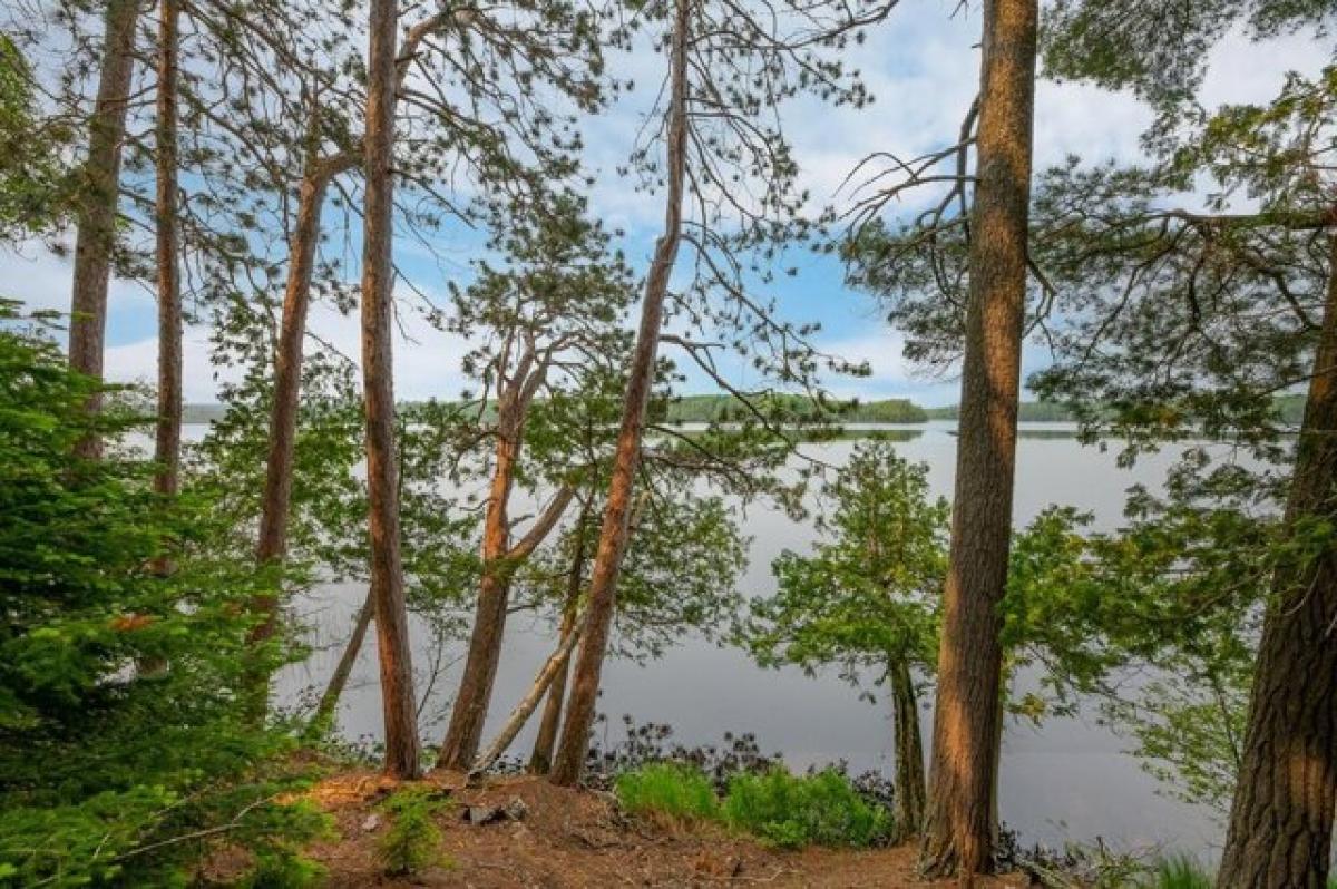 Picture of Residential Land For Sale in Land O Lakes, Wisconsin, United States