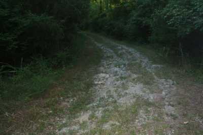 Residential Land For Sale in Brentwood, Tennessee