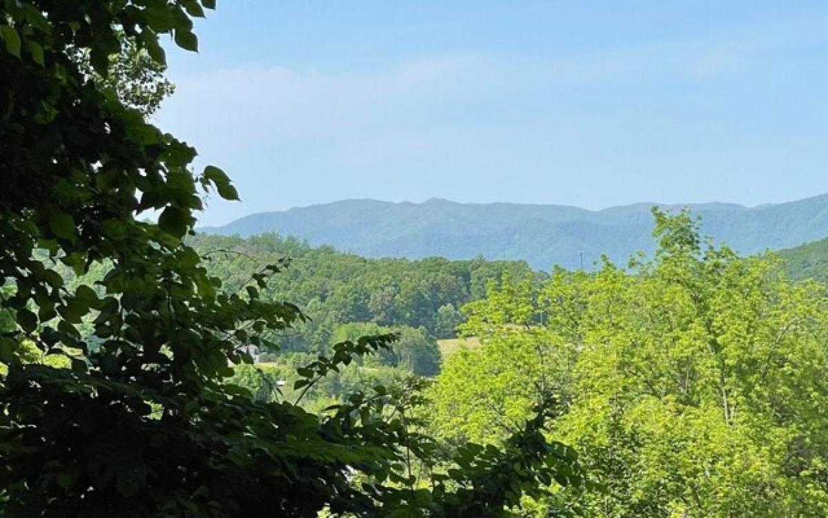 Picture of Residential Land For Sale in Hayesville, North Carolina, United States