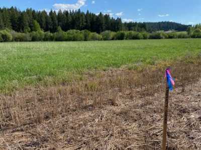 Residential Land For Sale in Colbert, Washington