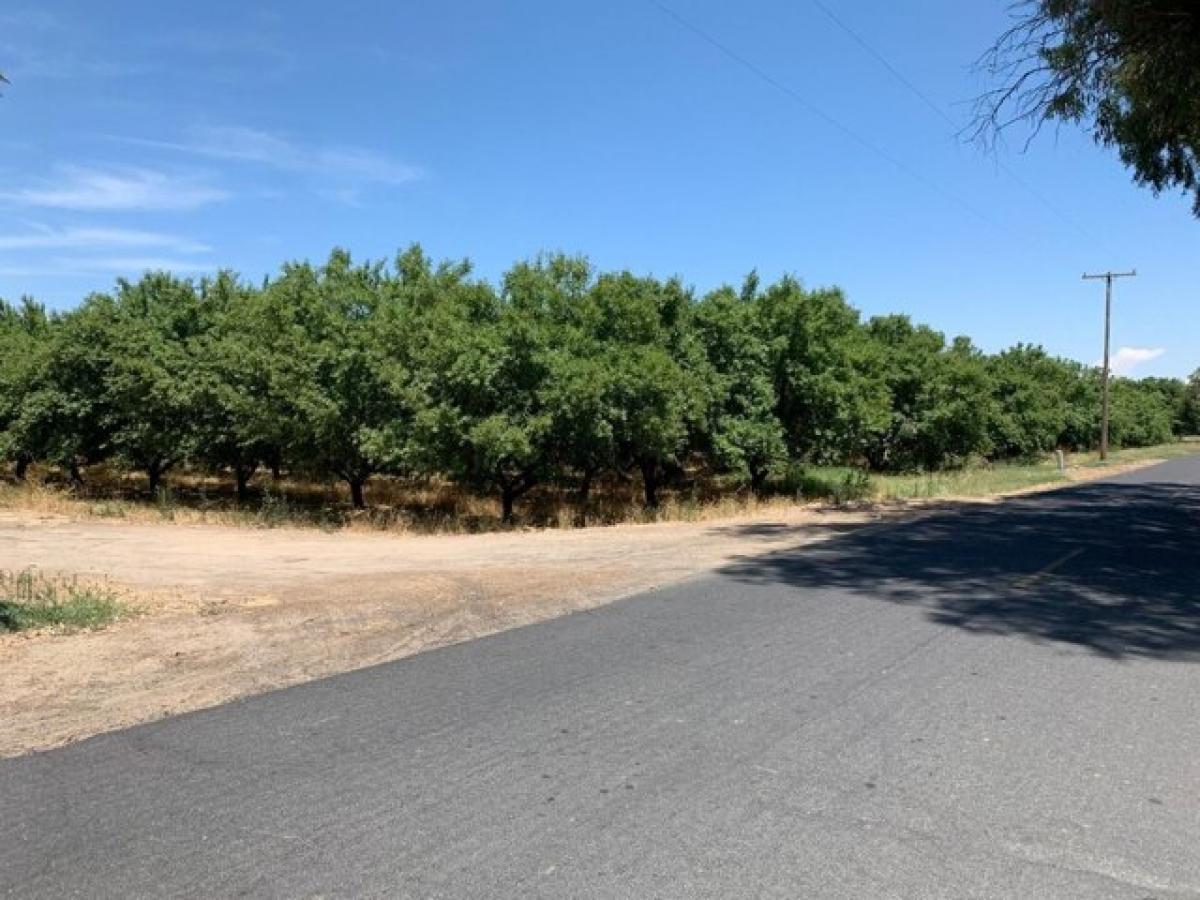 Picture of Residential Land For Sale in Turlock, California, United States