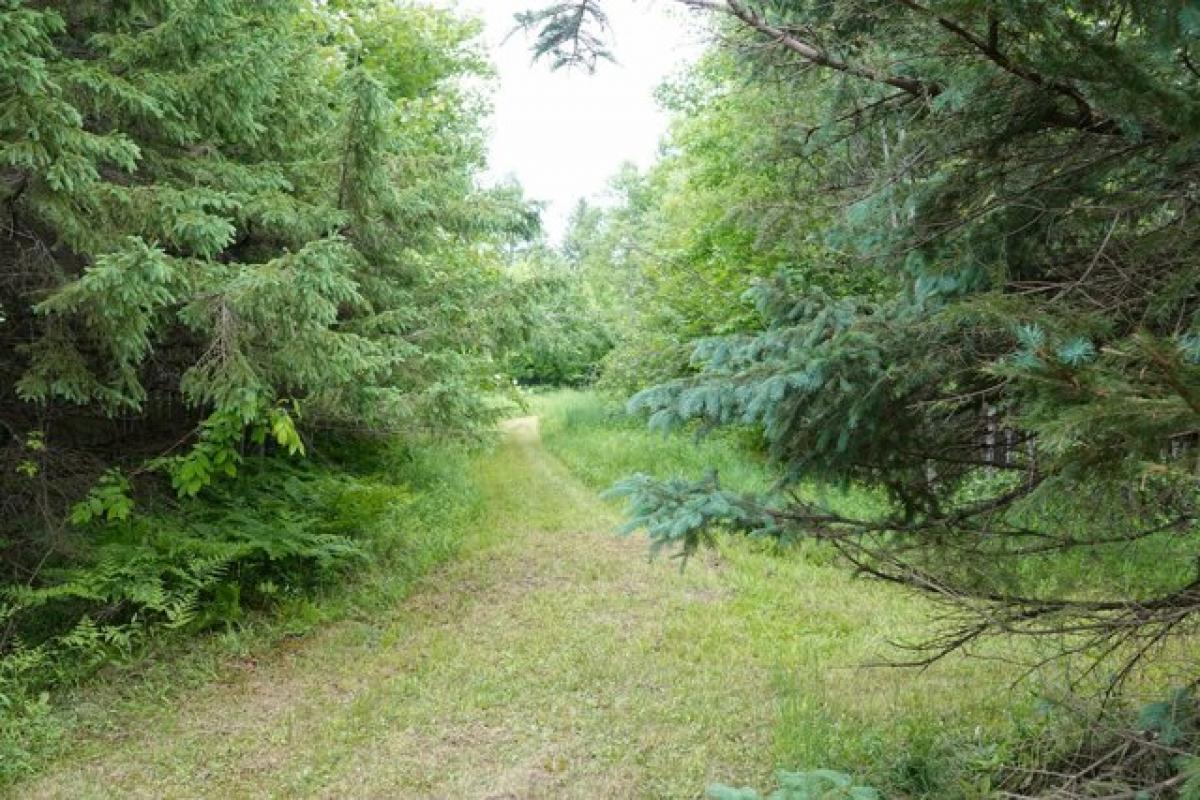 Picture of Residential Land For Sale in Prentice, Wisconsin, United States