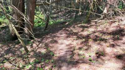 Residential Land For Sale in Birnamwood, Wisconsin