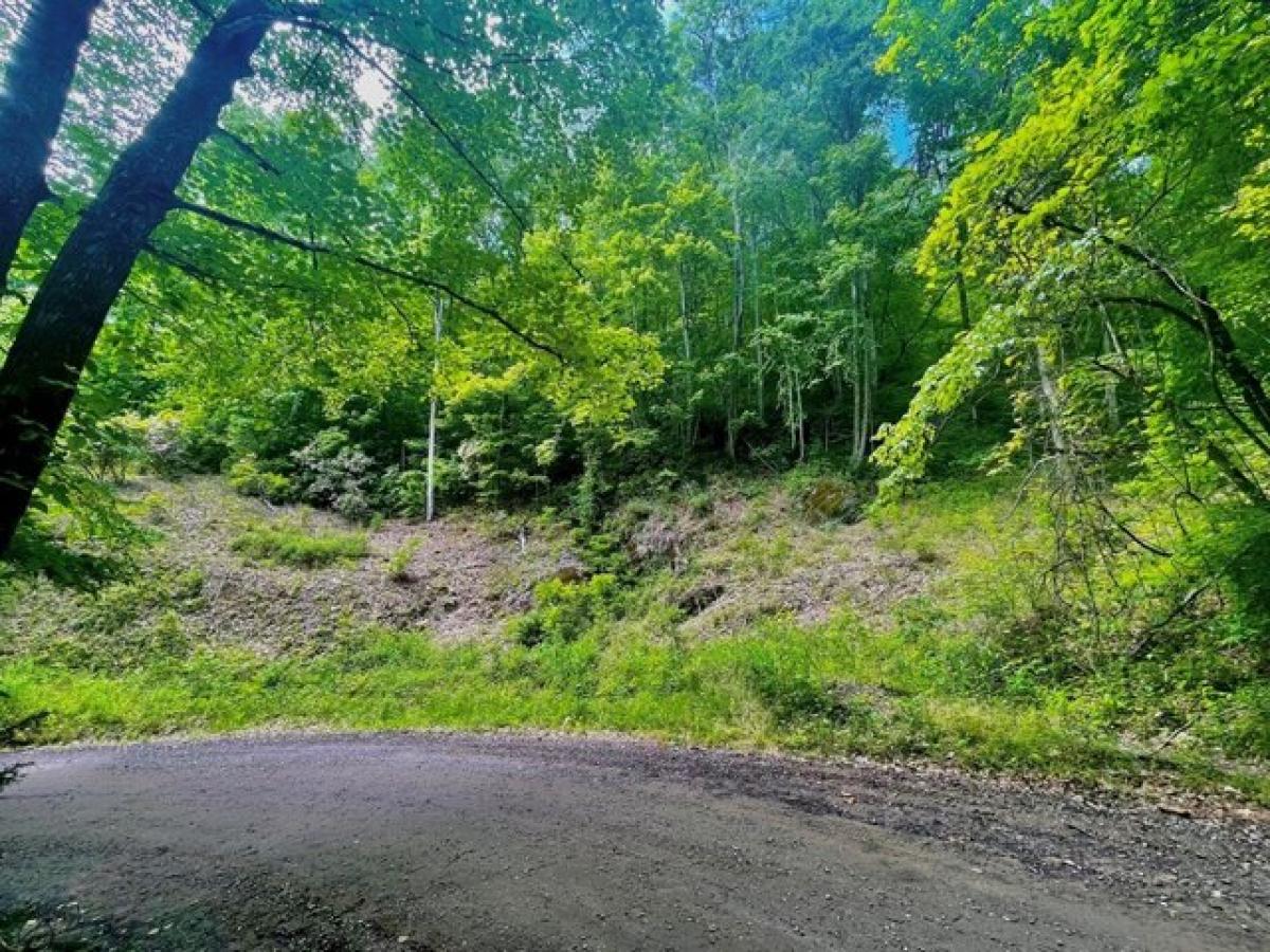 Picture of Residential Land For Sale in Franklin, North Carolina, United States