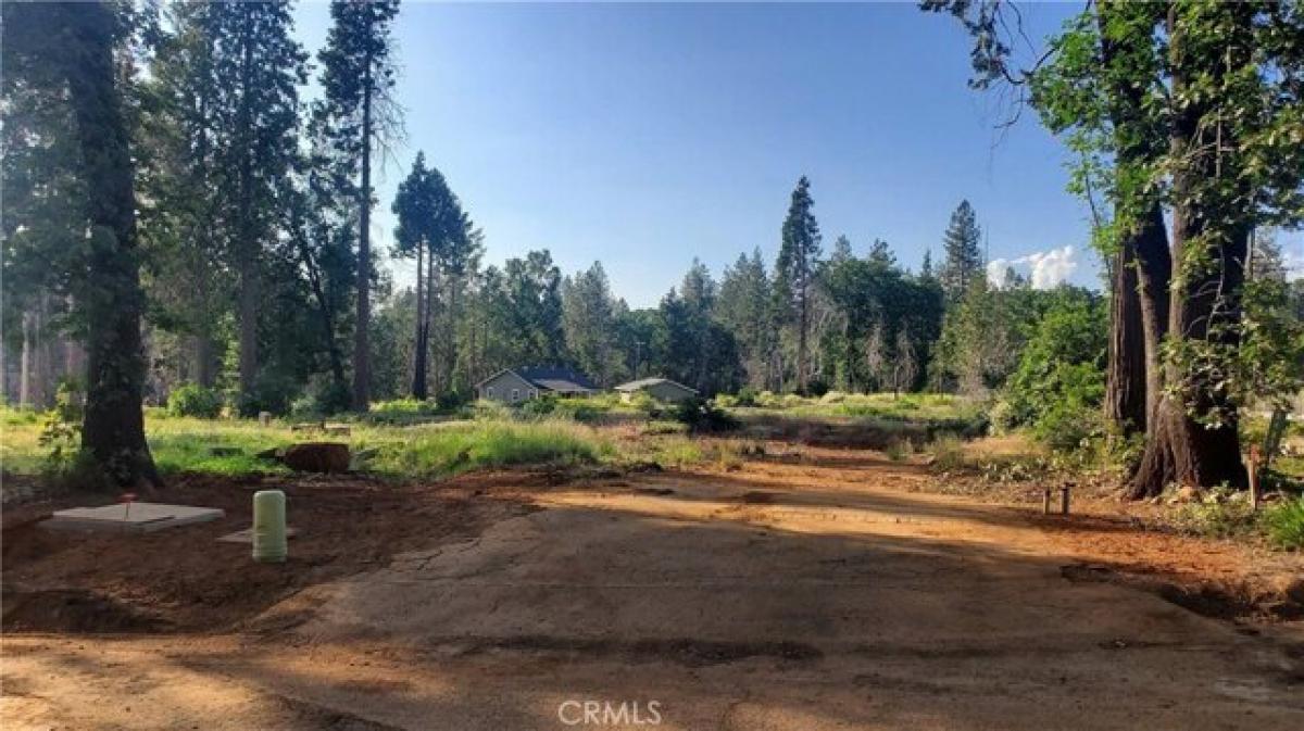 Picture of Residential Land For Sale in Magalia, California, United States