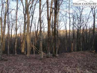 Residential Land For Sale in Sparta, North Carolina