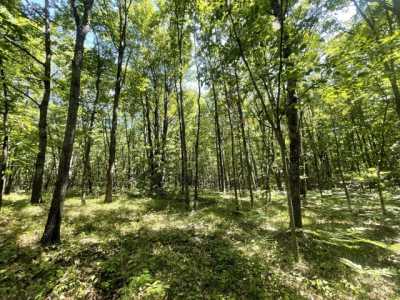 Residential Land For Sale in Leroy, Michigan