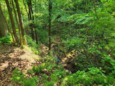 Residential Land For Sale in Mauston, Wisconsin