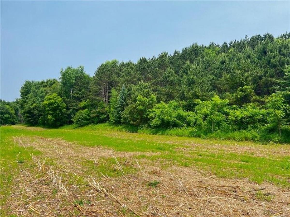 Picture of Residential Land For Sale in Strum, Wisconsin, United States