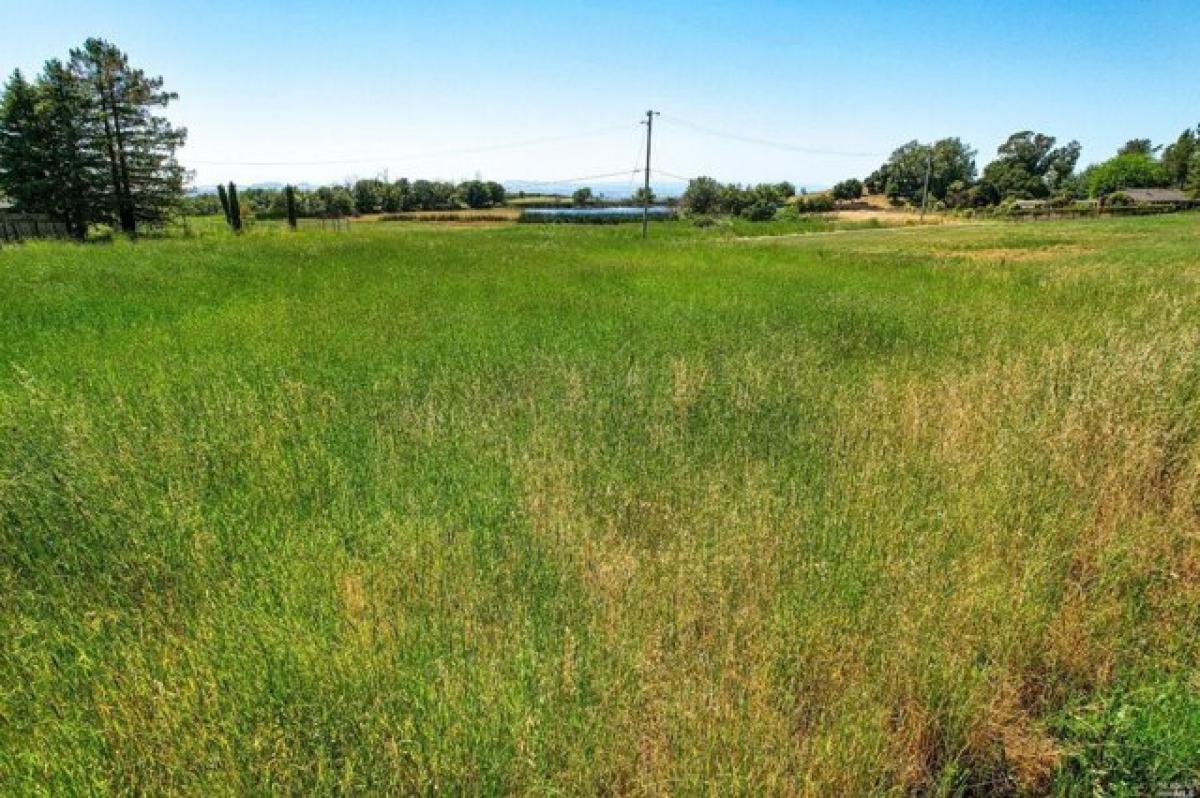 Picture of Residential Land For Sale in Penngrove, California, United States