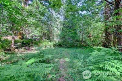 Residential Land For Sale in Duvall, Washington