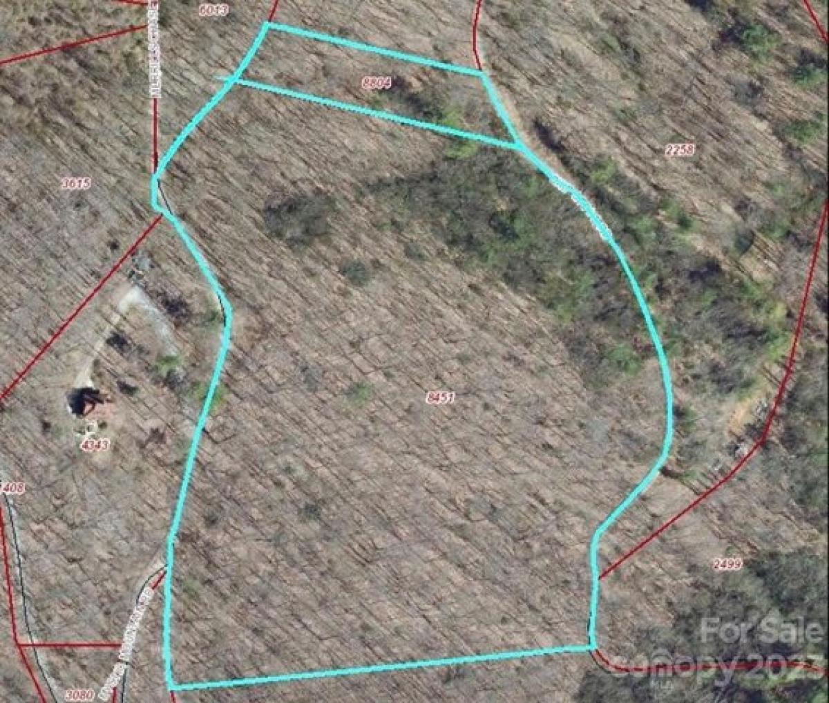 Picture of Residential Land For Sale in Asheville, North Carolina, United States