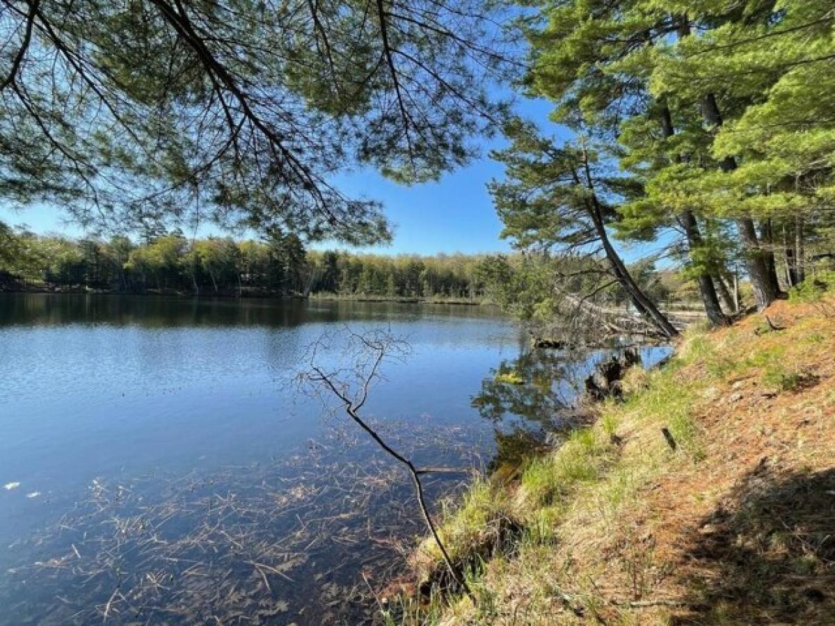 Picture of Residential Land For Sale in Minocqua, Wisconsin, United States